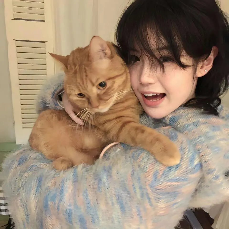 光露营就很忙了 光露營就很忙了